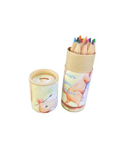 Mini crayons de couleurs